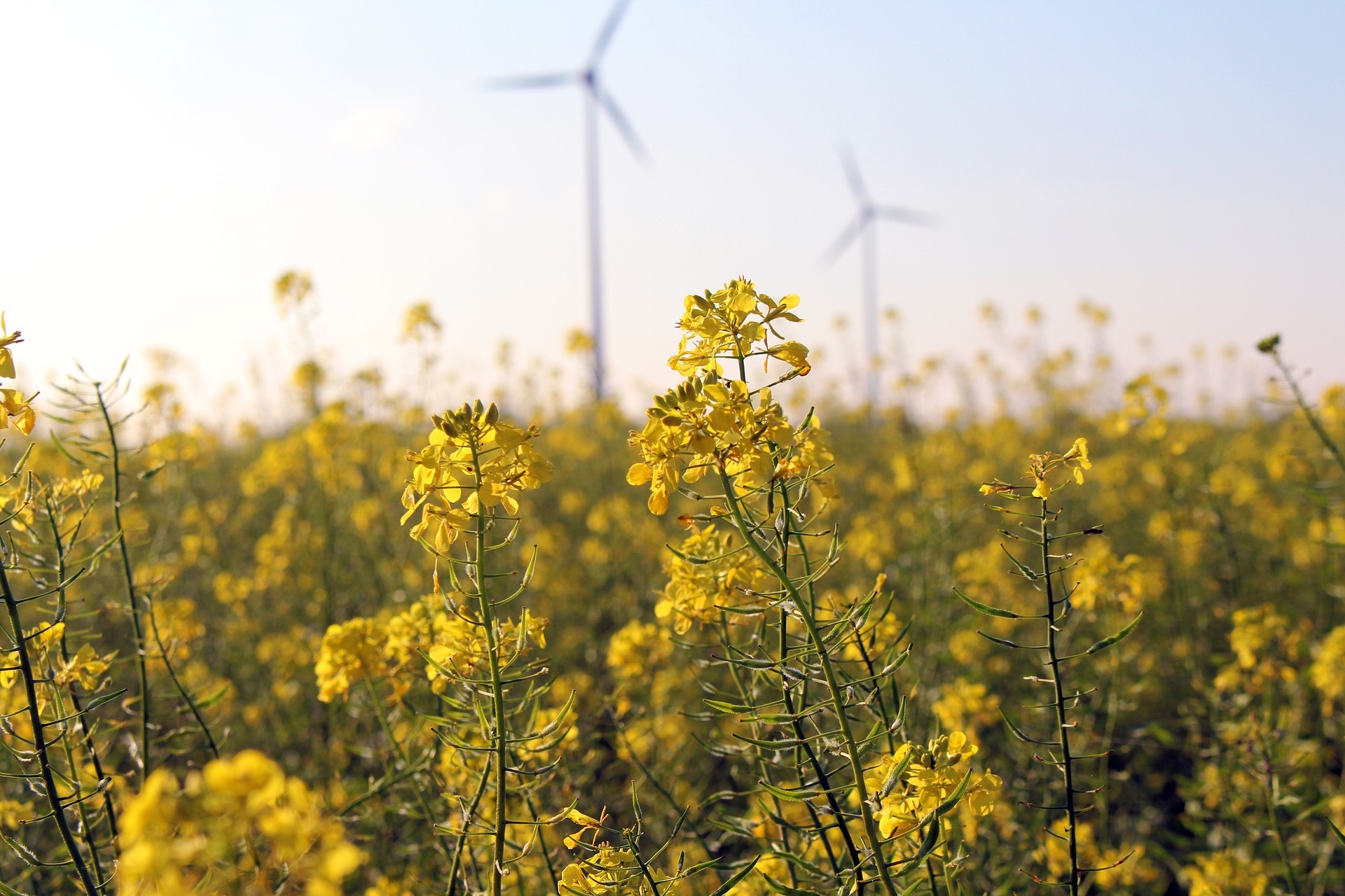 Die EEG-Umlage entfällt zum 1. Juli 2022